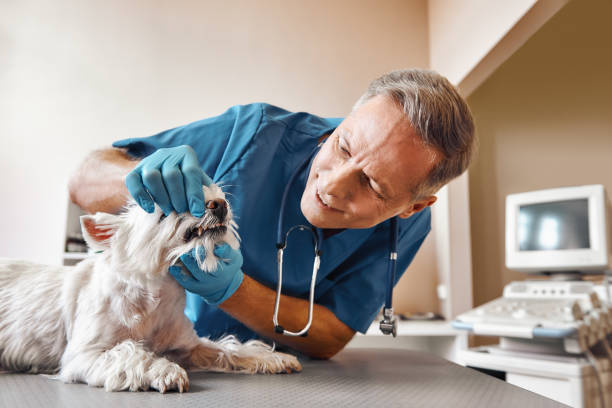 Best Same-Day Emergency Dentist in Aspermont, TX